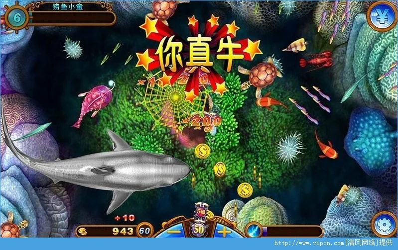丰富鱼种系统，从普通鱼到黄金鱼